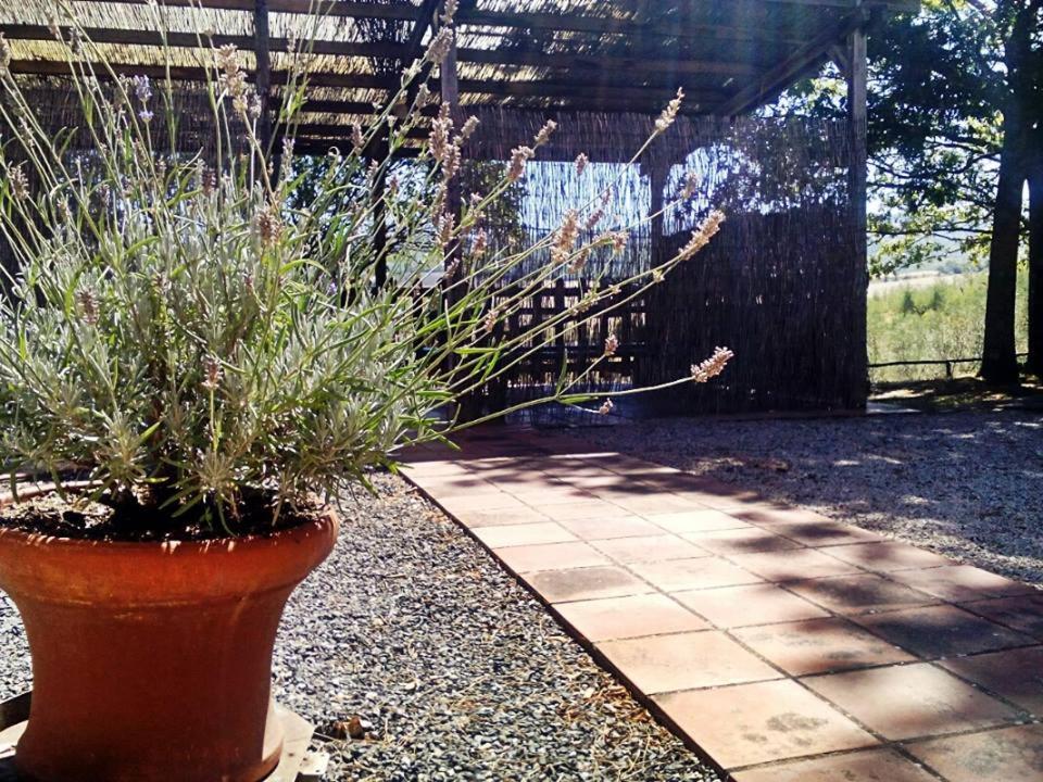 Cinigiano Agriturismo Podere Cherzo מראה חיצוני תמונה
