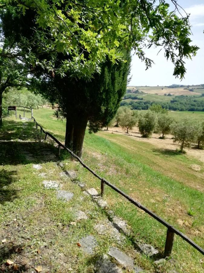 Cinigiano Agriturismo Podere Cherzo מראה חיצוני תמונה