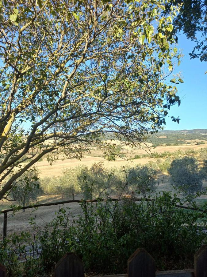 Cinigiano Agriturismo Podere Cherzo מראה חיצוני תמונה