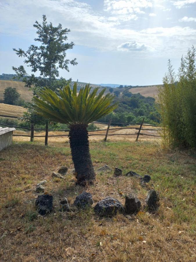 Cinigiano Agriturismo Podere Cherzo מראה חיצוני תמונה