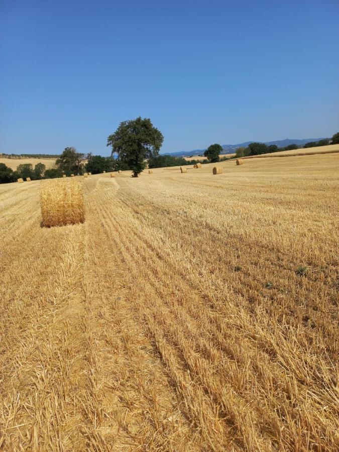 Cinigiano Agriturismo Podere Cherzo מראה חיצוני תמונה