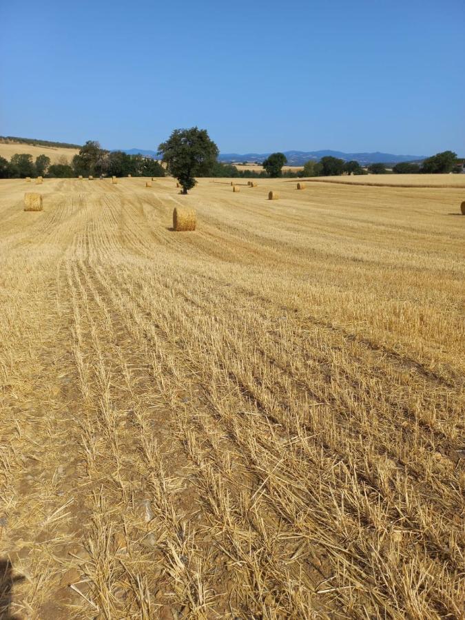 Cinigiano Agriturismo Podere Cherzo מראה חיצוני תמונה