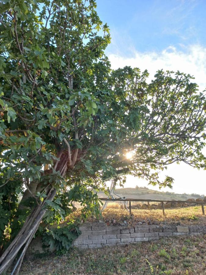 Cinigiano Agriturismo Podere Cherzo מראה חיצוני תמונה
