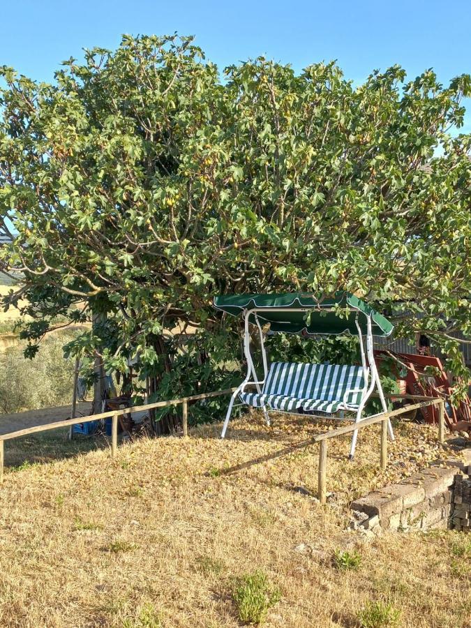 Cinigiano Agriturismo Podere Cherzo מראה חיצוני תמונה