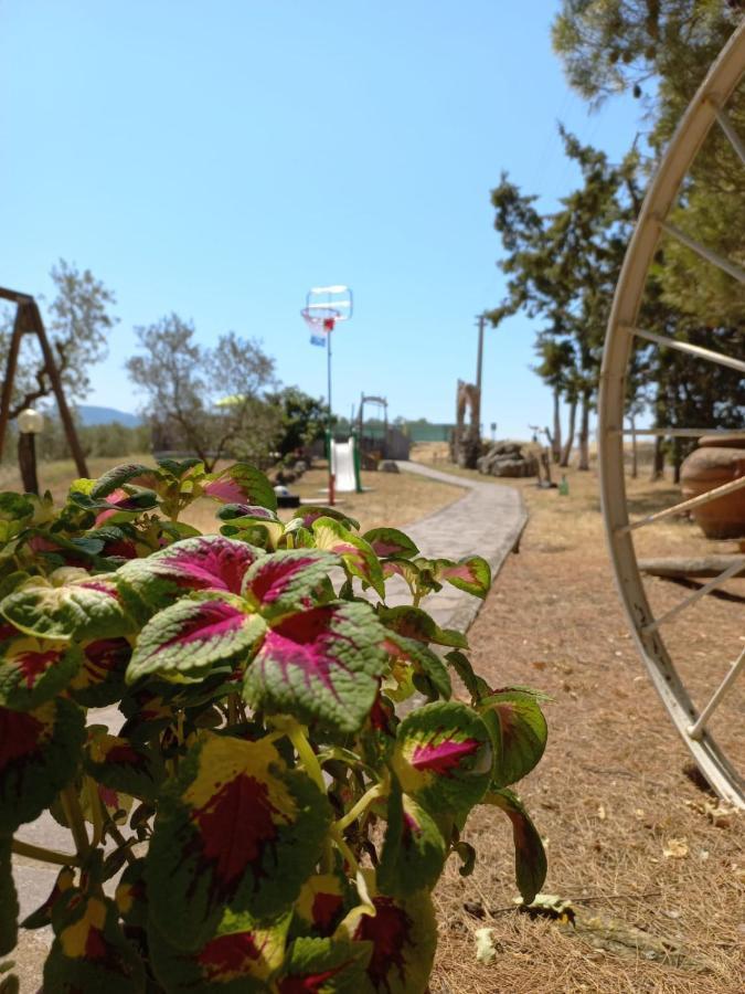 Cinigiano Agriturismo Podere Cherzo מראה חיצוני תמונה