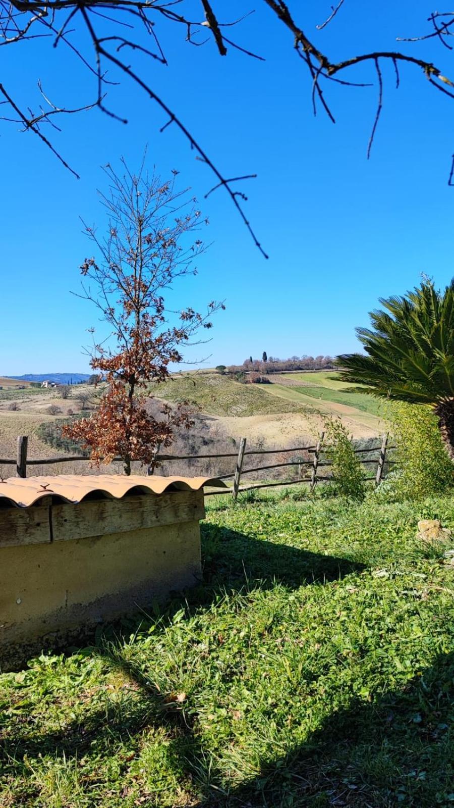 Cinigiano Agriturismo Podere Cherzo מראה חיצוני תמונה
