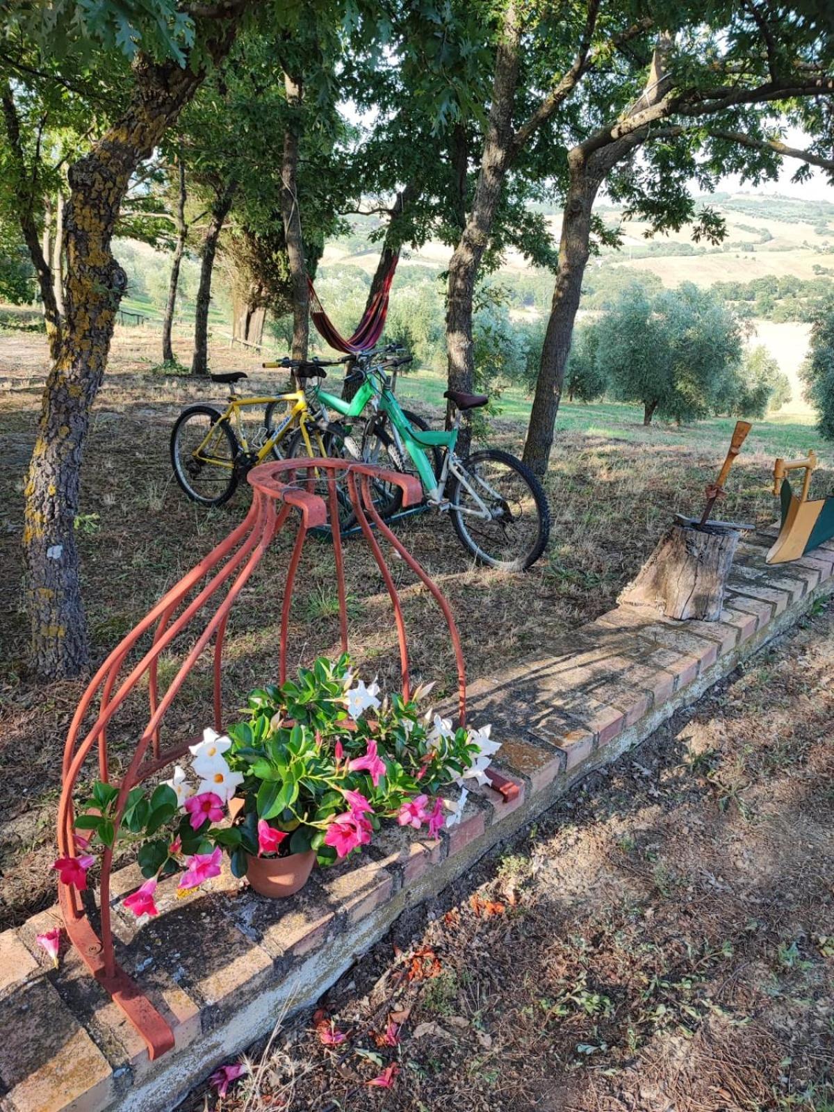 Cinigiano Agriturismo Podere Cherzo מראה חיצוני תמונה