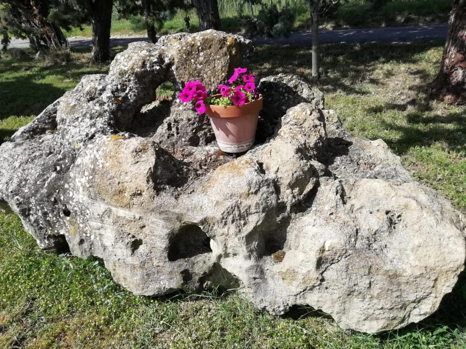 Cinigiano Agriturismo Podere Cherzo מראה חיצוני תמונה